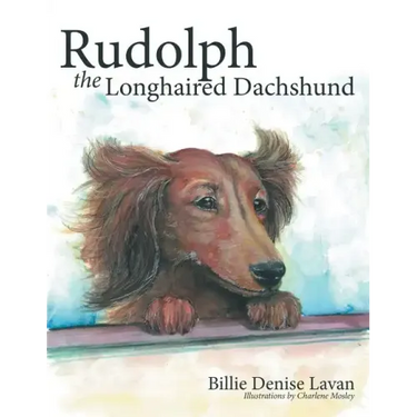 Rudolph the Longhaired Dachshund