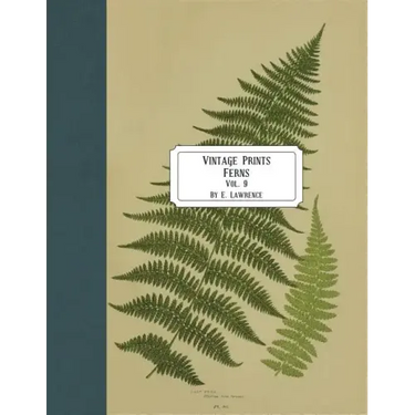 Vintage Prints: Ferns: Vol. 9