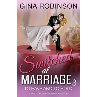 To Have and To Hold: A Jet City Billionaire Serial Romance