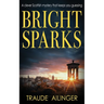 Bright Sparks: A clever Scottish mystery that keeps you guessing