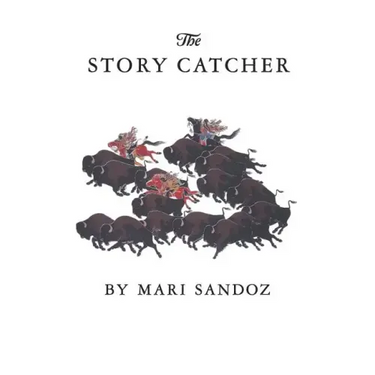 The Story Catcher