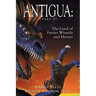 Antigua the Land of Fairies Wizards and Heroes (Part 1)