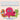 Invertebrates: Animal Group Science Book For Kids Children's Zoology Books Edition