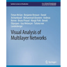 Visual Analysis of Multilayer Networks