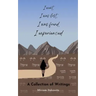 I went, I was lost, I was found, I experienced