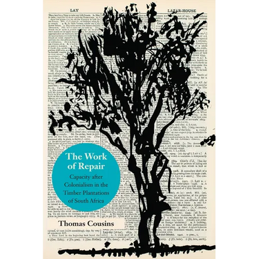 The Work of Repair: Capacity After Colonialism in the Timber Plantations of South Africa