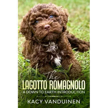 The Lagotto Romagnolo, A Down To Earth Introduction