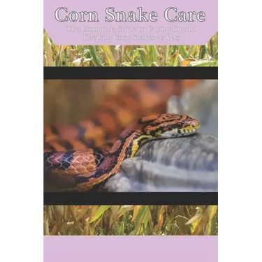 Corn Snake Care: The Complete Guide to Caring for and Keeping Corn Snakes as Pets