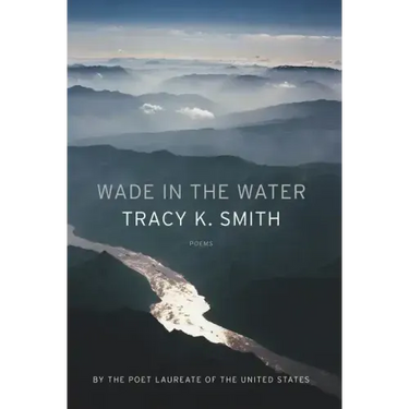 Wade in the Water: Poems