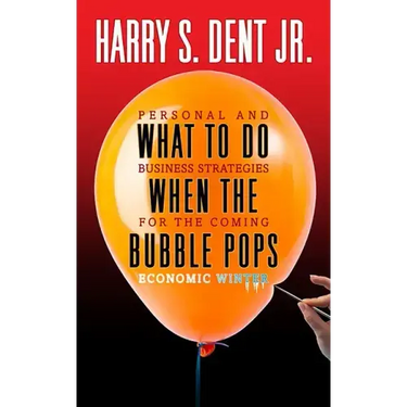 What to Do When the Bubble Pops: Personal and Business Strategies For The Coming Economic Winter