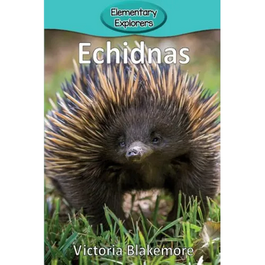 Echidnas
