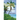 Bahamian Rhapsody