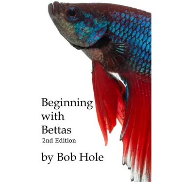 Beginning with Bettas
