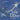 Song of a Dove: A Christmas Story