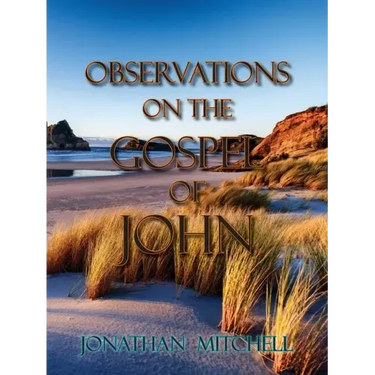 Observations on the Gospel of John