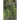 The Trees of Eugene