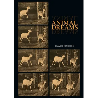 Animal Dreams