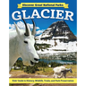 Discover Great National Parks: Glacier: Kids' Guide to History, Wildlife, Trails, and Park Preservation