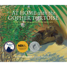 At Home with the Gopher Tortoise: The Story of a Keystone Species