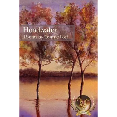 Floodwater