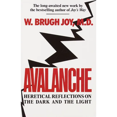 Avalanche: Heretical Reflections on the Dark and the Light