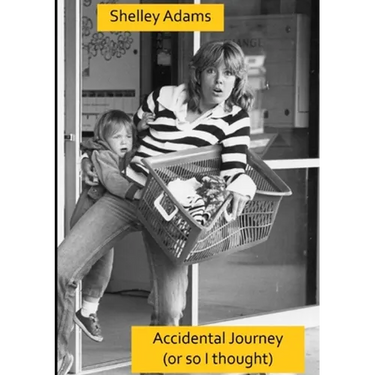 Accidental Journey Revised Edition
