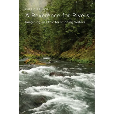 A Reverence for Rivers: Imagining an Ethic for Running Waters