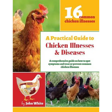 A Practical Guide to Chicken Illnesses & Diseases