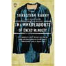 The Whereabouts of Eneas McNulty