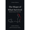 The Shape of What Survived