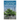 A Californian's Guide to the Trees Among Us: Expanded and Updated