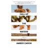 Call Up the Waters: Stories