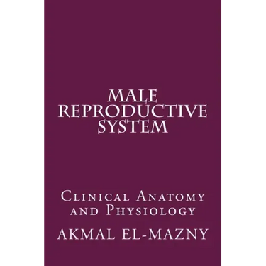 Male Reproductive System: Clinical Anatomy and Physiology