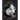 Litplan Teacher Pack: White Fang