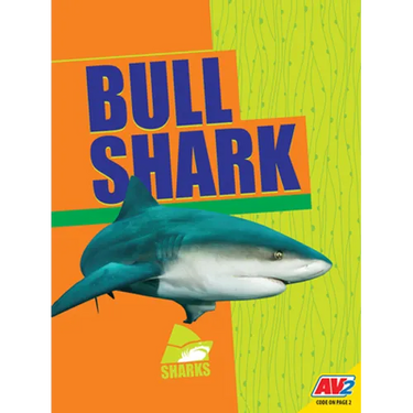 Bull Shark