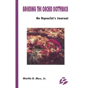 Breeding the Orchid Dottyback, Pseudochromis Fridmani: An Aquarist's Journal