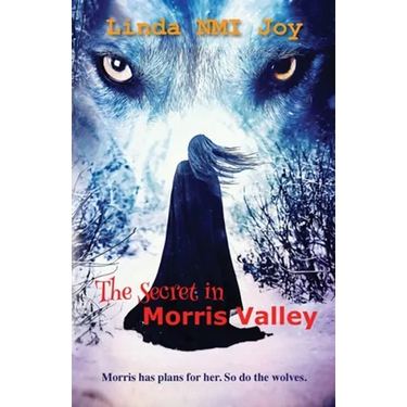 The Secret in Morris Valley