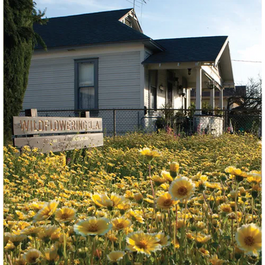 Fritz Haeg: Wildflowering L.A.