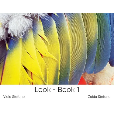 Look - Book 1