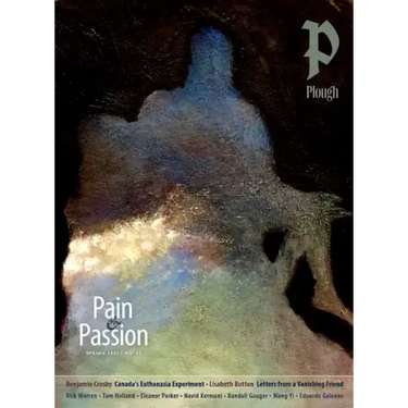 Plough Quarterly No. 35 - Pain and Passion