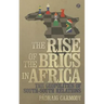 The Rise of the Brics in Africa: The Geopolitics of South-South Relations