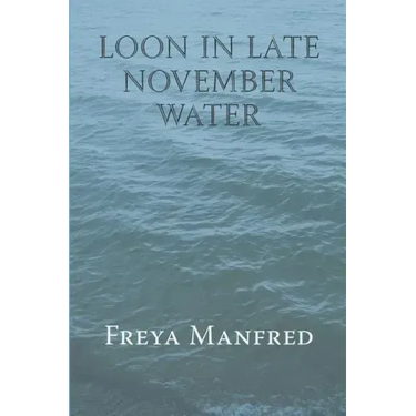 Loon In Late November Water