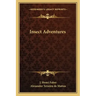 Insect Adventures