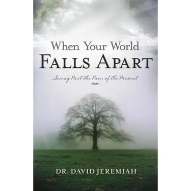 When Your World Falls Apart: See Past the Pain of the Present