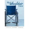 My Wheelchair View