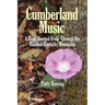 Cumberland Music: A Kind-Hearted Frolic Through the Haunted Kentucky Mountains