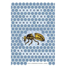 Anatomy of the Honey Bee