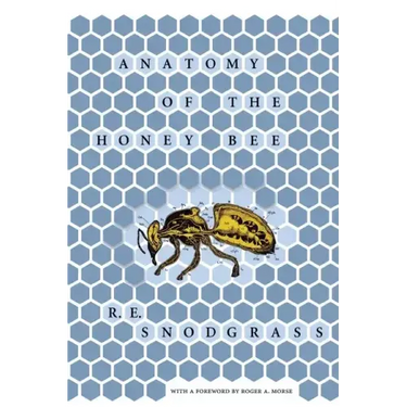 Anatomy of the Honey Bee