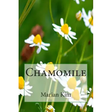 Chamomile