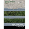 Antennae #56 Spaces and Species